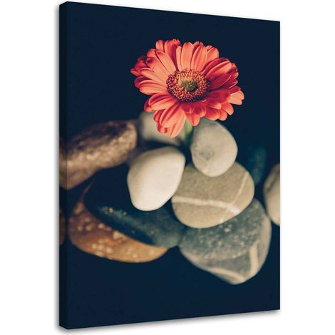 Tableau sur toile Gerbera Fleurs Pierres 60x90 (1/5)