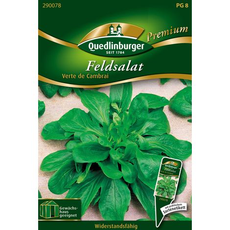 Quedlinburger Saatgut – Mâche Verte de Cambrai – Graines de légumes, pour 10 à 12 mètres linéaires (1/2)