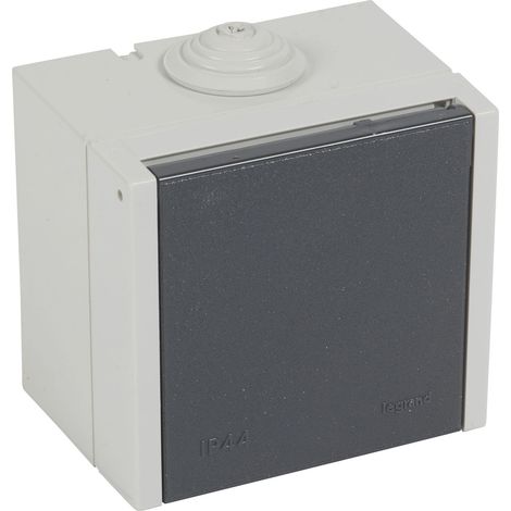 Socle saillie 2P+T 20A Plexo (055702) (1/2)