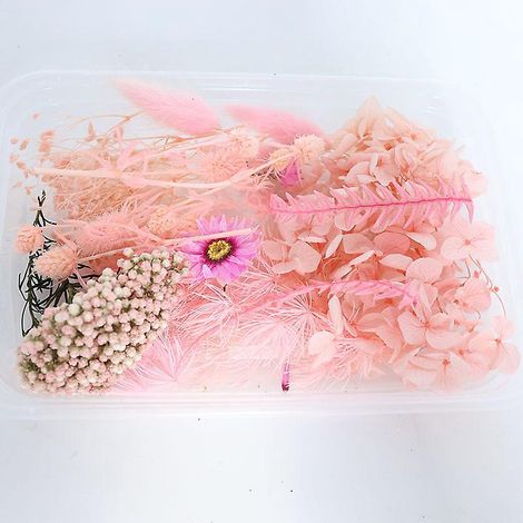1 Boites Vraies Fleurs Sechees Naturelles Melangees Plusieurs Fleurs Sechees Assorties Pour Bricolage Artisanat Fait Main Decoration De La Maison (1/5)