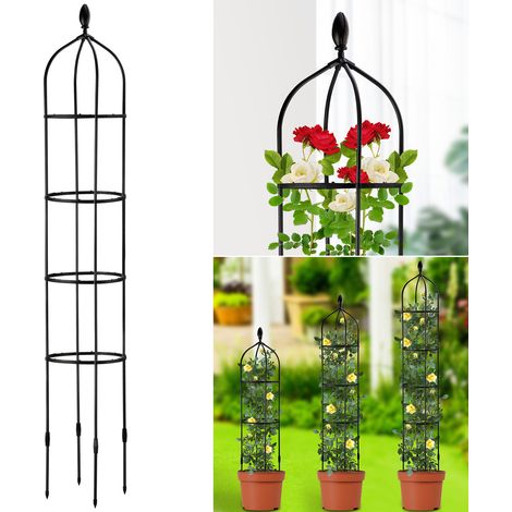 Tuteur fixe pour rosier grimpant, support de plantes d'intérieur en métal, piquet de jardin pour fleurs (1/5)
