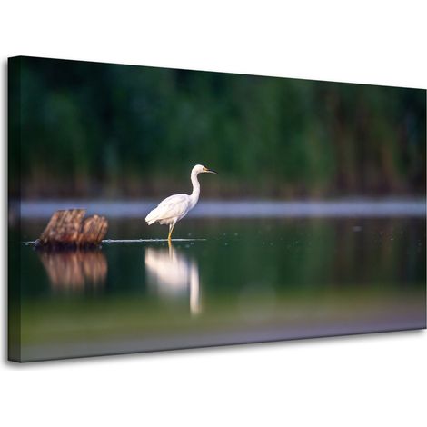 Lienzo impreso con la imagen de una garza blanca (100x60 cm).