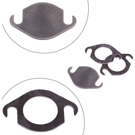 - Kit de plaque d'obturation de vanne EGR avec joint adapté pour SEAT GALAXY TDI (1/4)