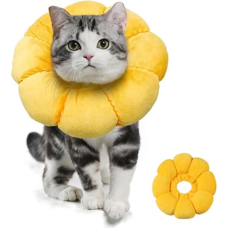 Collare di recupero girasole per gatti, collare protettivo regolabile, collare protettivo per gattini e cani di piccola taglia, protegge le ferite dopo l'intervento chirurgico, XS (1/5)