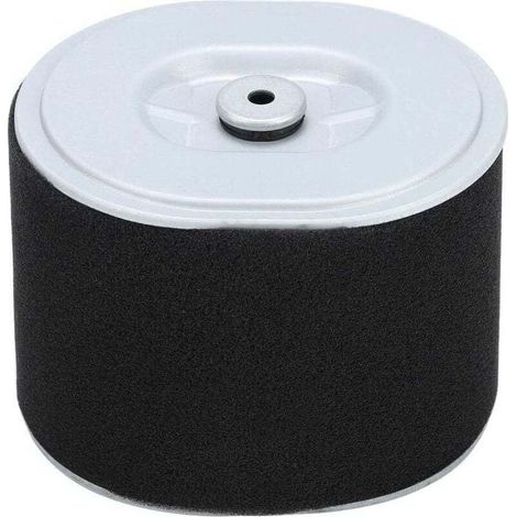 Filtre à Air Moteur Gx390 Pièce Nettoyeur Haute Pression Tondeuse à Gazon Remplacement Compatible (1/4)