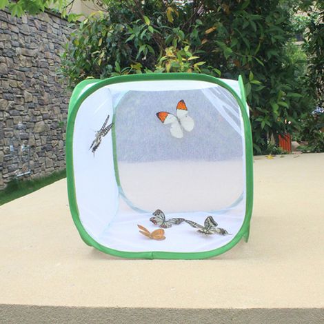 Jaula plegable para mariposas, fabricada en tela de malla, con bisagras, terrario a prueba de insectos, de color blanco verdoso, con base de poliéster translúcido. (1/5)