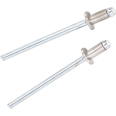 2 Rivets Rosette en Acier Inoxydable, Rivets Pop Rosette de Remplacement pour Plaques Porte Ford AMC VIN (1/5)
