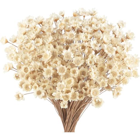 300 mini fleurs séchées brésiliennes (marguerites, camomille, gypsophile), pour mariage, bricolage et déco maison
