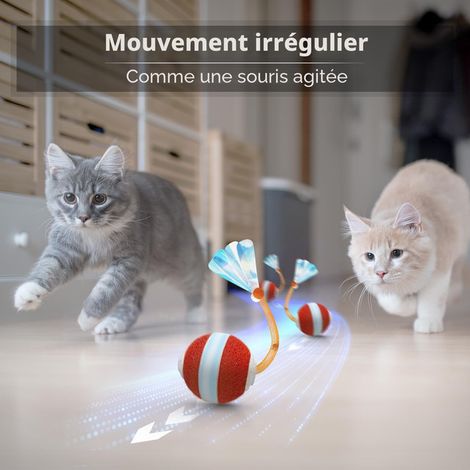 Jouet interactif intelligent pour chat avec mouvement irrégulier et capteur tactile, boule roulante automatique pour stimulation et exercice (1/5)