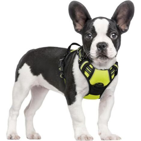 Harnais pour chien vert taille M poitrine 38-75 cm 1 pièce réglable rembourré gilet pour chien gilet en polyester pour animaux de compagnie (1/5)
