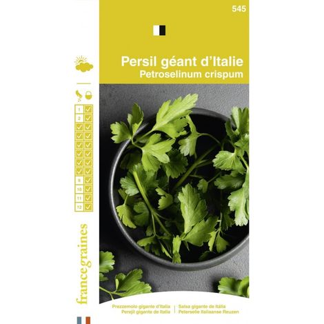 France Graines - Persil Géant Italie