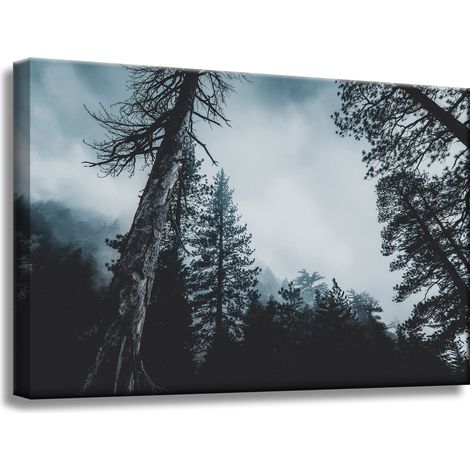 Leinwanddruck Natur Baumkronen 60x40 cm