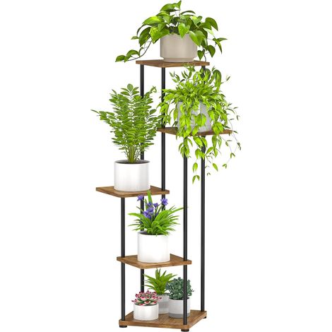 Support Plantes Intérieur à 5 Niveaux, Étagère Plante En Métal Présentoir d'angle pour pots de fleurs, Porte Plante Intérieur Pour Plusieurs Plantes, Porte Plante Extérieurr (1/5)