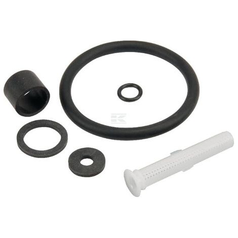 Dicht. Kit Organic Star 5 Vit. BIRCHMEIER 11981301 (1/2)