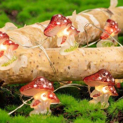 Guirlande lumineuse champignon 3 m 30 LED alimentée par batterie avec télécommande et minuterie (1/5)