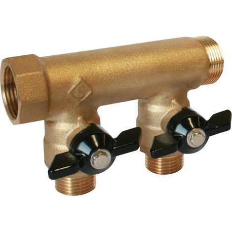 Collecteur sanitaire M-F 1"+mini-vannes monobloc 2 départs 1/2" - Somatherm