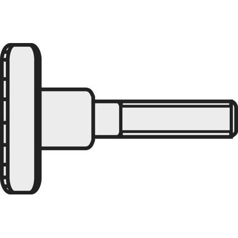 TOOLCRAFT M312 D464-5.8:A2K 194770 - VITI A VITE M3, 12 MM, DIN 464, IN ACCIAIO GALVANIZZATO, 10 PEZZI