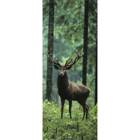 Panneau mural douche en alu-composite VIPANEL - Inspiration Nature Décor Cerf Dans la Forêt - Finition Brillant - 100x255cm (1/5)