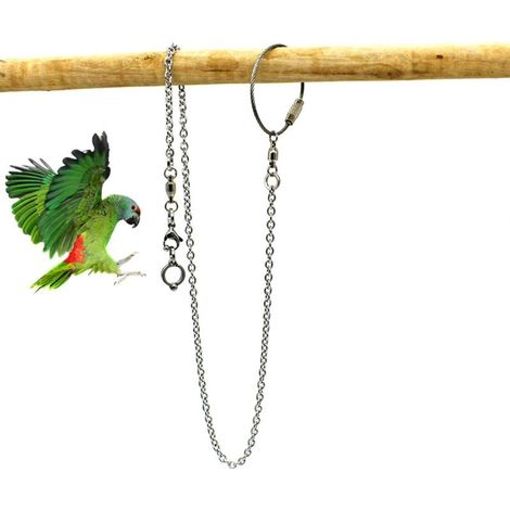 Accessoires pour cage oiseau Perroquet Anneau De Pied en Acier Inoxydable, Chane D'anneau De Pied De Perroquet, Chane Activité D'ouverture pour Cockatiel Cacatoès Soleil Moine Perruche Oiseau Stand (1/5)