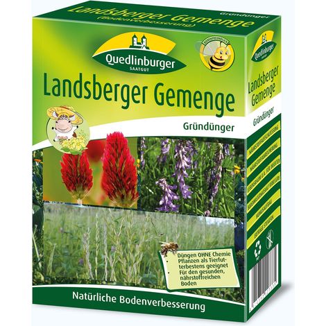 Quedlinburger Gründünger Landsberger Gemenge Bodenverbesserer für ca. 60 m² 300 g - Faltschachtel (1/2)