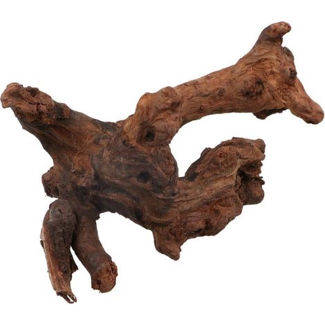 Décoration d'habitat de poisson tropical en bois flotté naturel pour aquarium - Bois flotté - Bois de corail - Forme irrégulière - Racines d'arbre (taille S) (1/5)