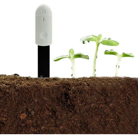Sofortige Bodenfeuchtigkeitsmessung – Multifunktionales elektronisches Messgerät für Gärten, Zimmerpflanzen, Bonsai und Blumen (1/5)