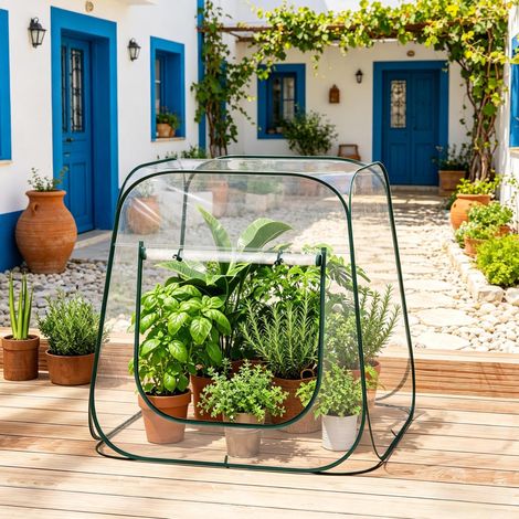 Serra pop-up mini in PVC trasparente 100 x 100 x 97 cm OKMYHOME (1/5)