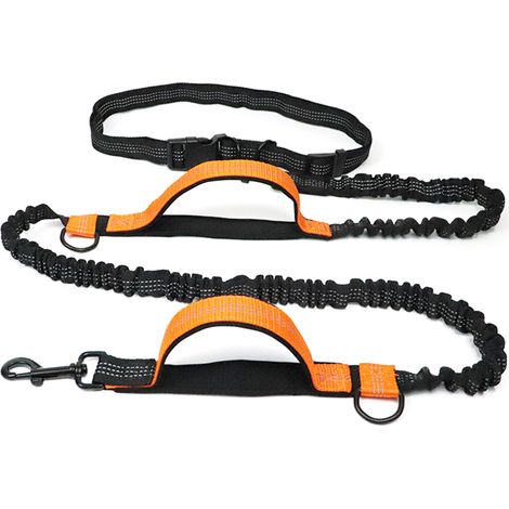 Hundeleine, ideal zum Joggen im Freien, mit doppeltem, einziehbarem Reflektorband. Hundeleine mit Kette und Zubehör. (1/2)