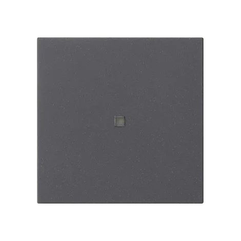 Gira S3000 Inserto comando BT System 55 Antracite [536828], 5368 28