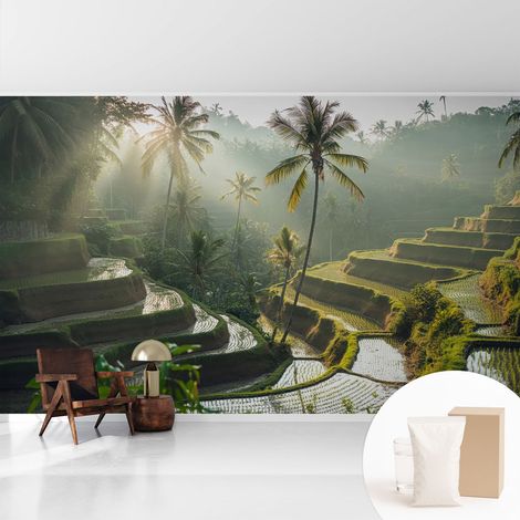 Tapete Vliestapete mit Kleber modern Wohnzimmer - Wanddeko Schlafzimmer - Tapete mit Motiv Paradiesische Terrassen 416x254 cm (1/5)