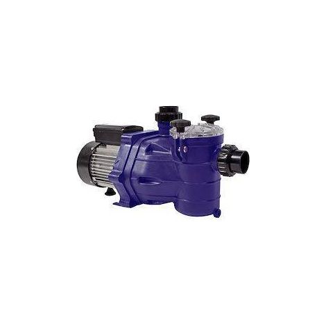 Pompe Eau PPE 0,33 CV Monophasé 7 m3/h - Entrée de Gamme - Fiable et Performante - D-Work (1/2)