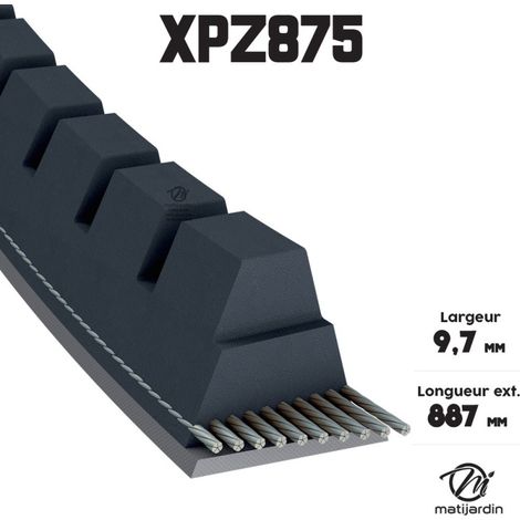 Courroie tondeuse XPZ875 trapézoïdale crantée  9,7 x 887 mm