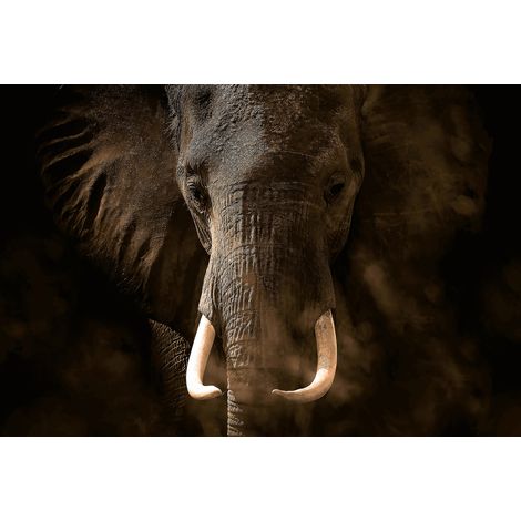 Papier peint panoramique tendance éléphant | Tapisserie panoramique animaux pour salon | Papier peint panoramique noir et marron - 384 X 260 cm (8 pièces) (1/2)