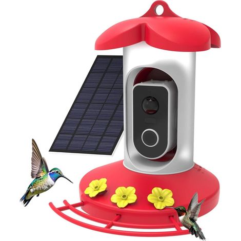registra automaticamente video di uccelli, mangiatoia intelligente per colibrì con telecamera 4G, alimentata a energia solare, dotata di riconoscimento AI, mangiatoia per colibrì con (1/5)