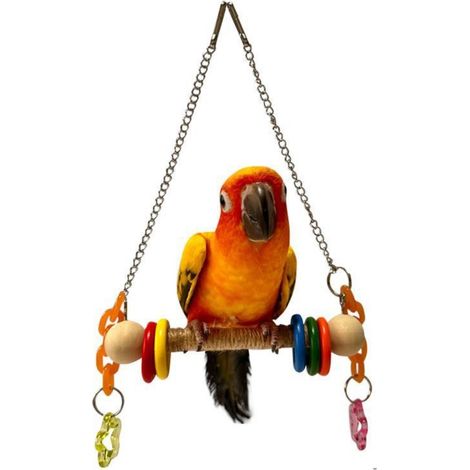 Balançoire pour oiseaux, plateforme en bois avec base stable pour perruches calopsittes, inséparables et petits oiseaux, support d'entraînement à l'équilibre pour cages à oiseaux et (1/5)