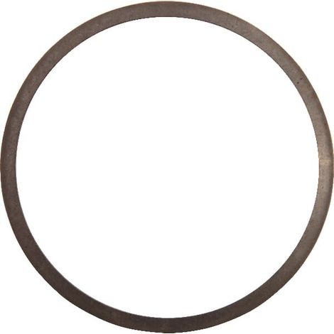 Rondella regolazione AGRIA AGW73600