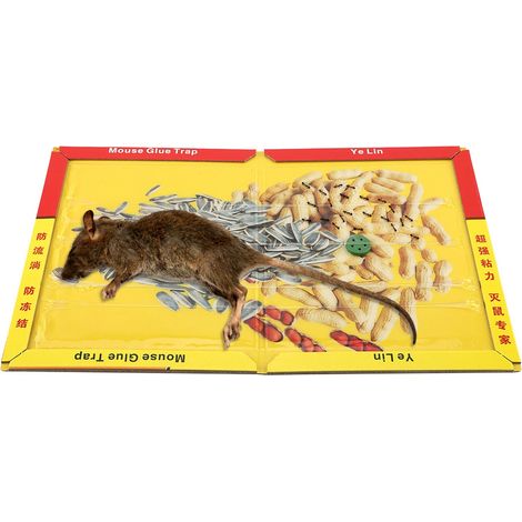 Piège à souris à colle forte adhésive et odorant à viande appétissante (1/5)