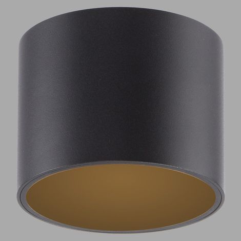 Emplacement monté en surface au plafond Pure Point Ø 11cm - nacré noir - 6761-18