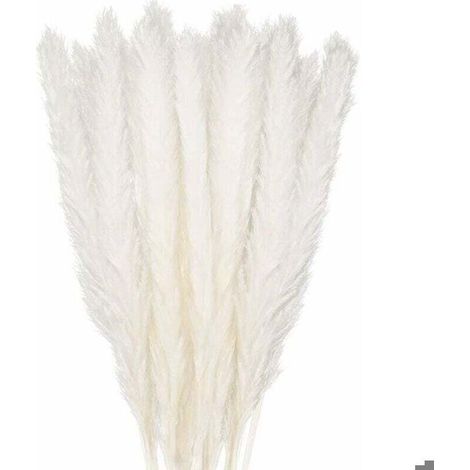 30pcs Herbe de Pampa – 100% Naturel Blanc – Décoration Boho Mariage Maison – 58 cm (1/5)