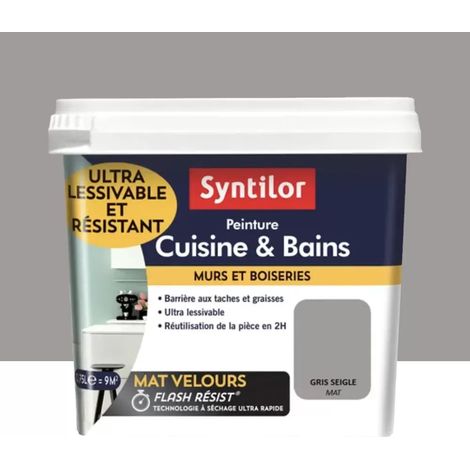 Peinture Cuisine & Bains SYNTILOR Gris seigle 0,75 L (1/3)