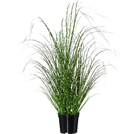 GASPER Zebragras - Miscanthus im Topf 58 cm - Kunstblumen