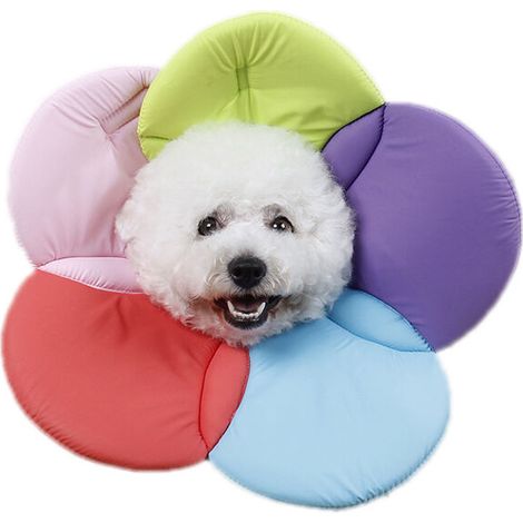 Soft and breathable floral border for pets and easy to clean (colorful, M)