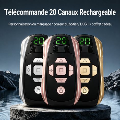 Télécommande copieuse intelligente multi-fréquence 20 canaux rechargeable 3,7 V argentée argent 7,8 × 4,32 × 1,65 cm 33 g – Livraison gratuite (1/5)