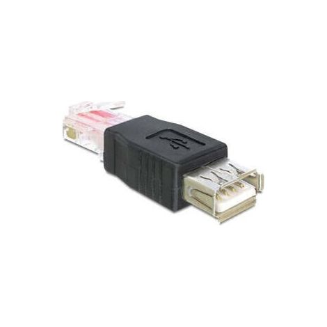 DeLOCK USB - RJ45 USB 2.0 Negro