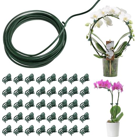 1 Pièces DIY Tuteurs pour Plantes Tuteur Plante Interieur avec 40 Clips de Support pour Plantes Tuteur Tomate Tuteur Plante Grimpante Tuteur Plante pour Plantes Convient aux Roses Pivoines Lys Vignes