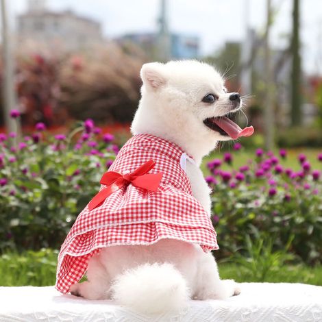 1 robe d'été à carreaux pour animaux de compagnie - Jupe à nœud papillon pour chien / Jupe princesse pour chat - Bichon Teddy - Vêtements pour petits chiens (1/5)