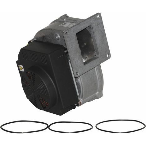 Ventilateur complet ebm g1g170 - ATLANTIC : 060438 (1/5)