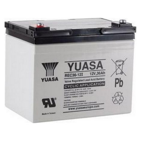 Yuasa – Batterie plomb étanche 12V 36Ah REC3612 – Technologie VRLA sans entretien – Pour alarme et portail électrique