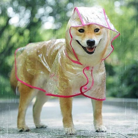 Impermeable Kokobin para perros y gatos, con capucha ajustable, de PVC transparente, ultrarresistente. (1/5)
