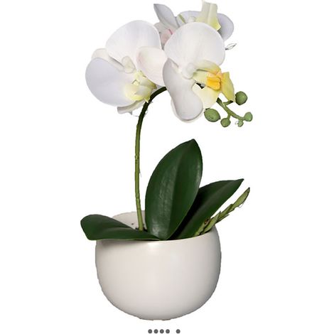 Adorable fausse orchidée coupe céramique H 16 cm Crème - couleur: Crème